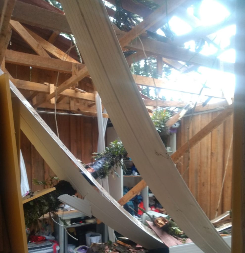 Árvore cai e destrói parcialmente casa no Pilarzinho