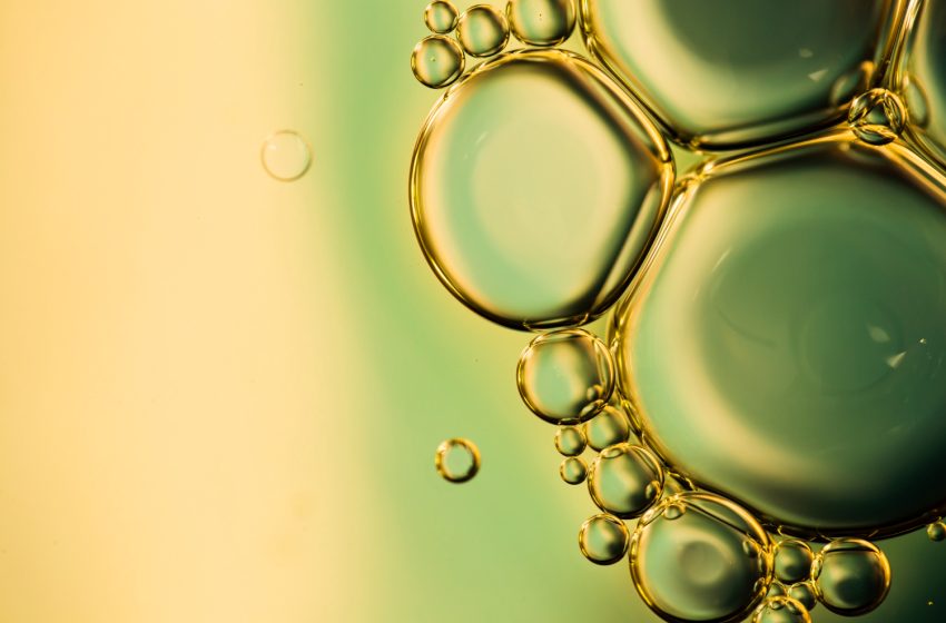  Conhecendo melhor o diesel: as fontes de extração do biodiesel