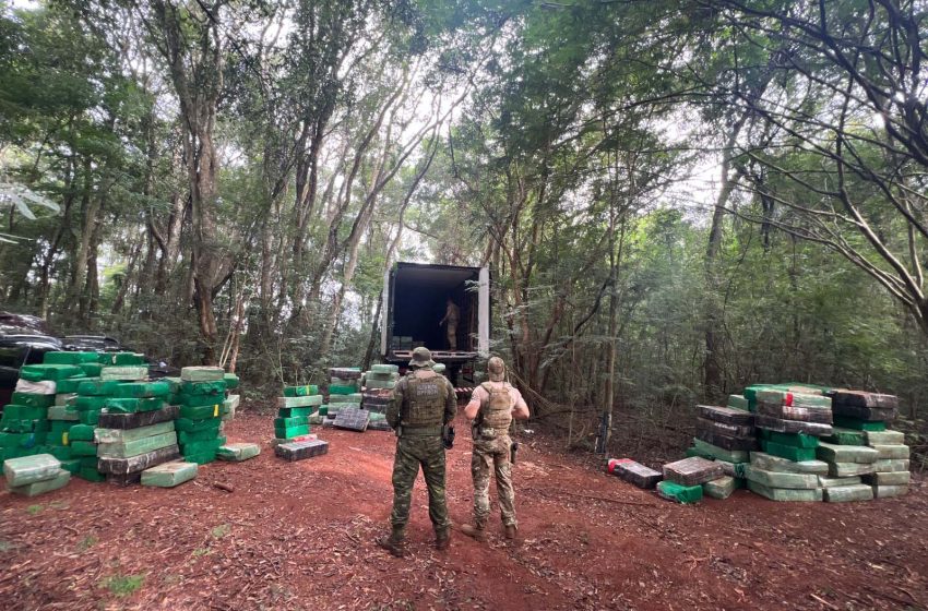  Toneladas de maconha são apreendidas em área de mata