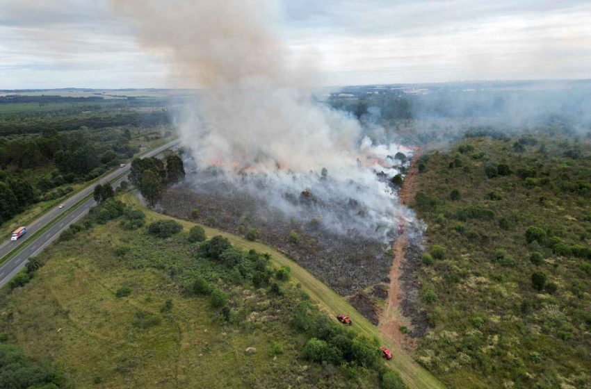  IAT encerra queima controlada no Parque Estadual Vila Velha