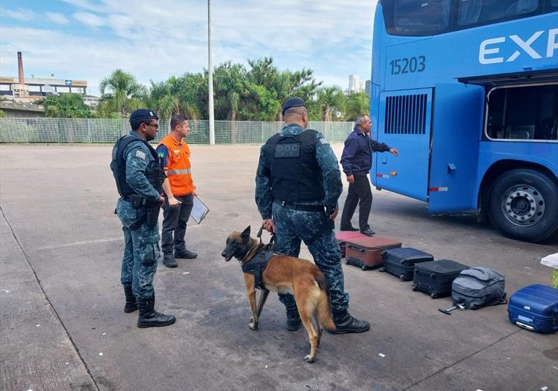  Cão-farejador localiza drogas em poltrona de ônibus na Rodoviária