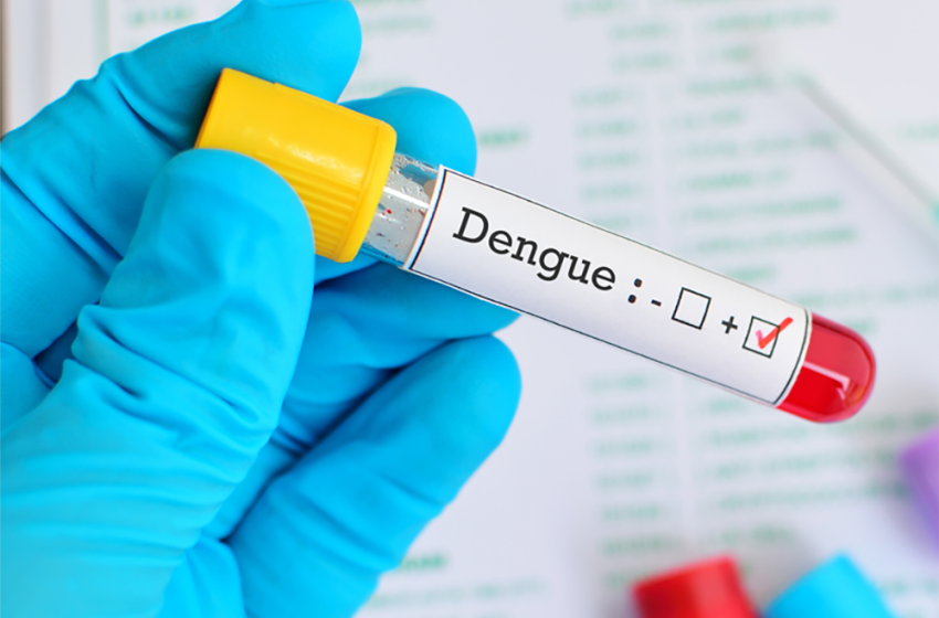  Casos de dengue crescem 5,67% no Paraná