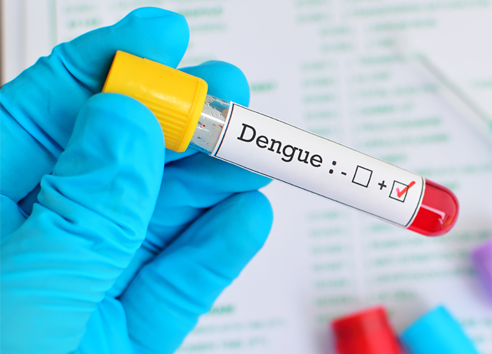 Casos de dengue crescem 5,67% no Paraná