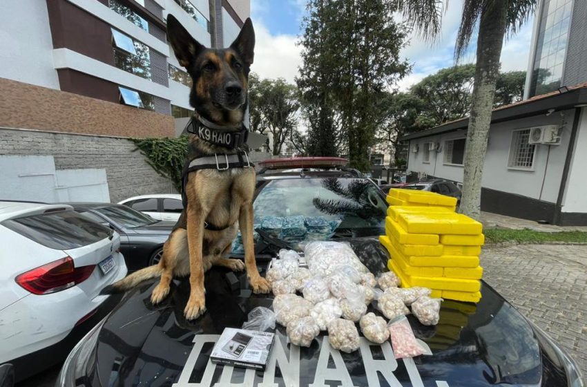  PC cumpre 121 mandados em operação contra o tráfico