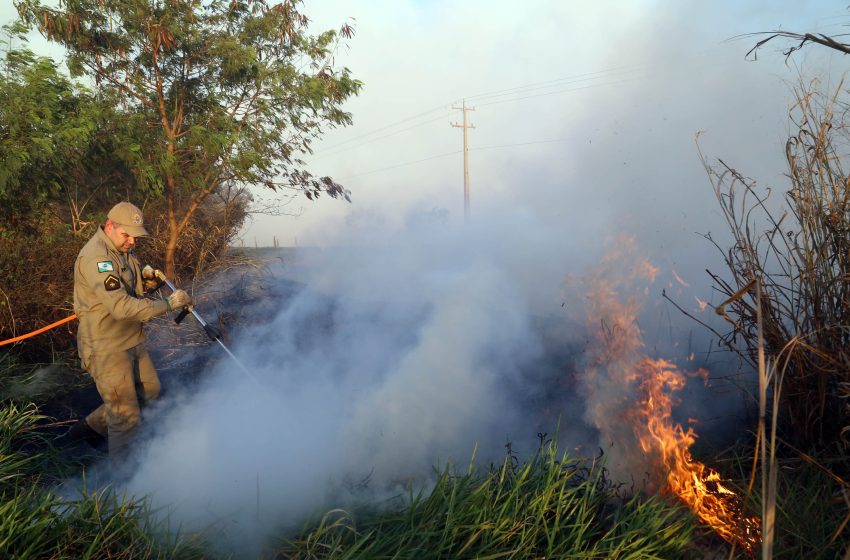  90% dos incêndios florestais são causados por irresponsabilidade humana