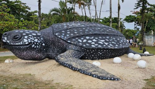  Escultura de tartaruga gigante é inaugurada no litoral do Paraná
