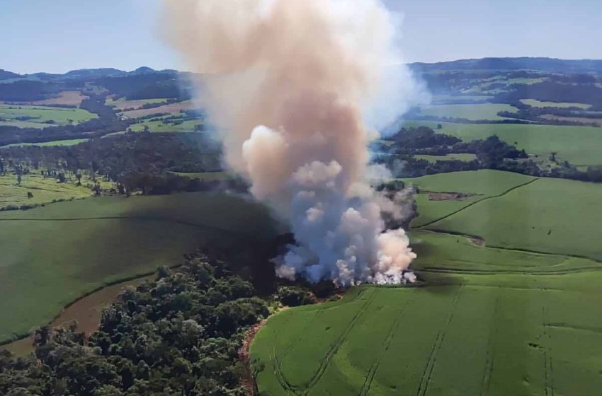  Atividade econômica é suspensa em 5 hectares de área desmatada