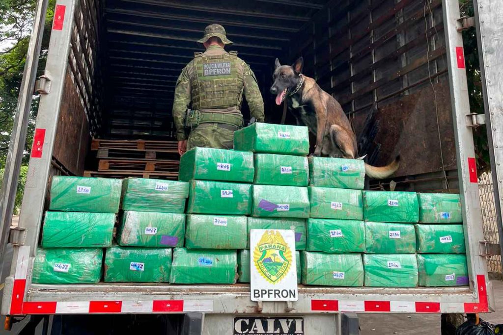 Cão-farejador encontra 700 Kg de maconha em um caminhão