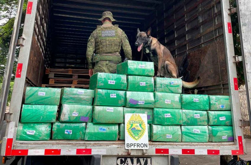  Cão-farejador encontra 700 Kg de maconha em um caminhão