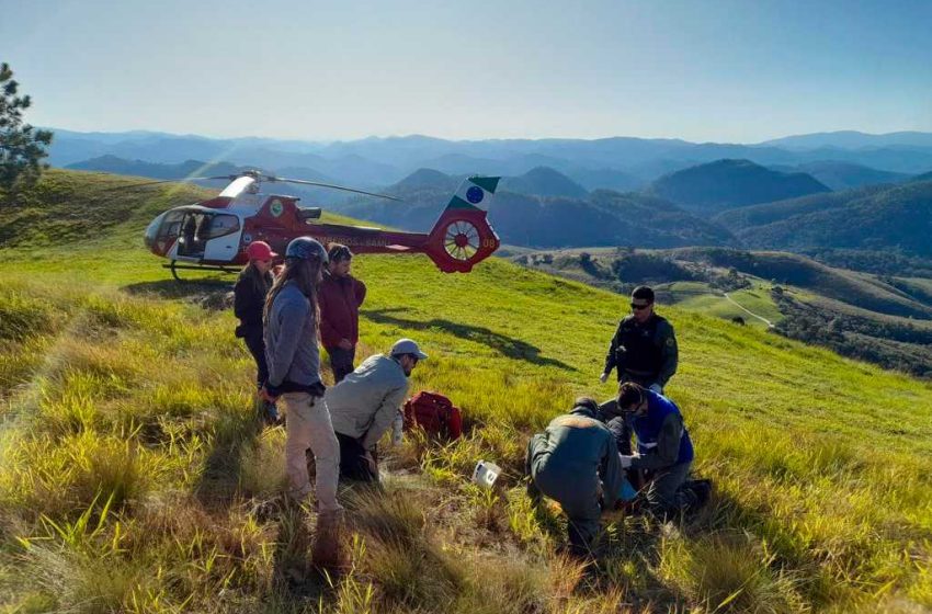  Total de operações aéreas cresce 14% no Paraná