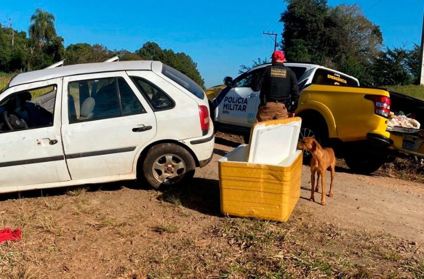  700 quilos de maconha são apreendidos em operação policial