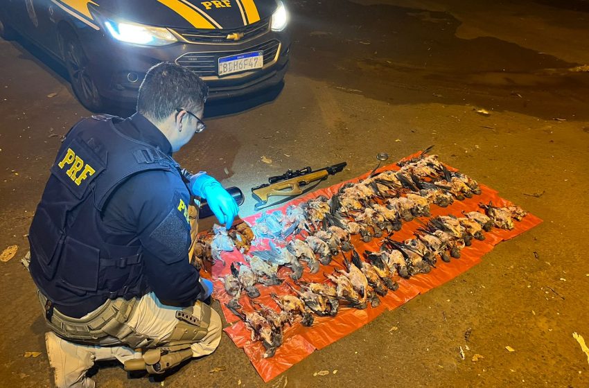  Caçador é detido com 66 aves mortas