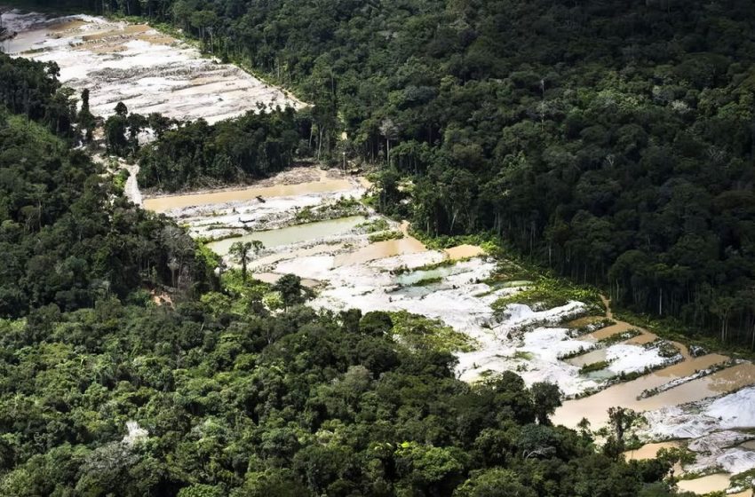  Força-tarefa destrói 10 garimpos ilegais na Amazônia