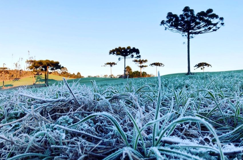  Paraná registra inverno atípico, com poucas geadas