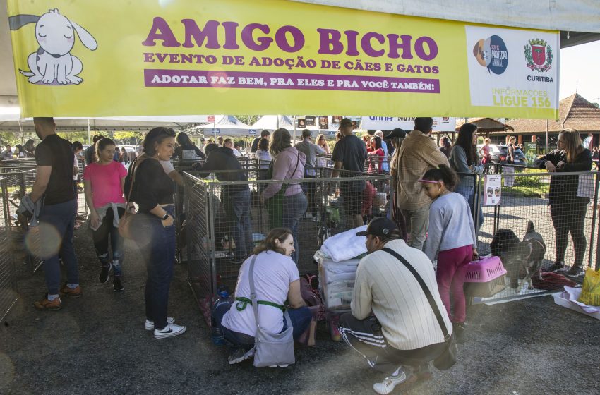  Protetores podem cadastrar cães para adoção no 5º Amigo Bicho