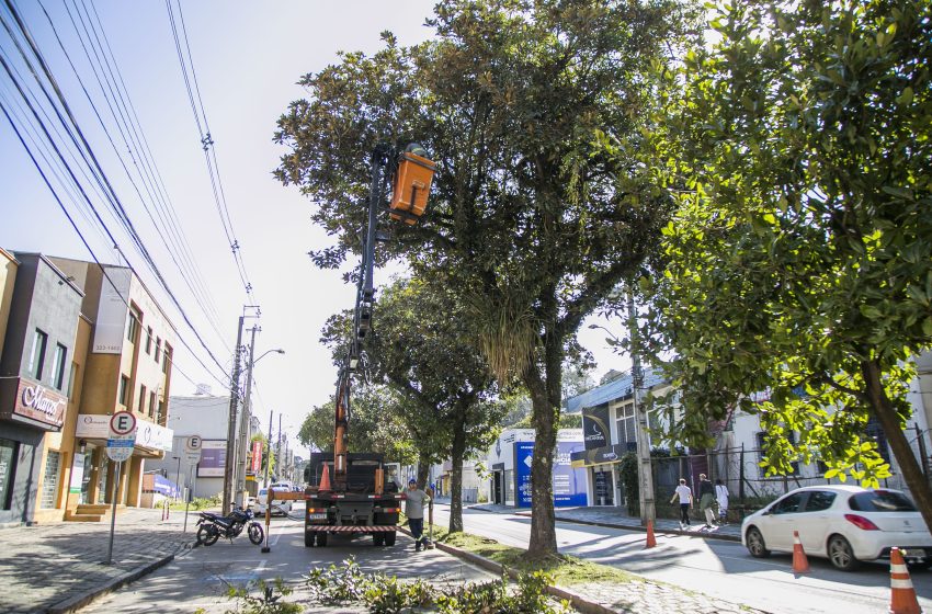  Trânsito: Inácio Lustosa passa por podas de galhos