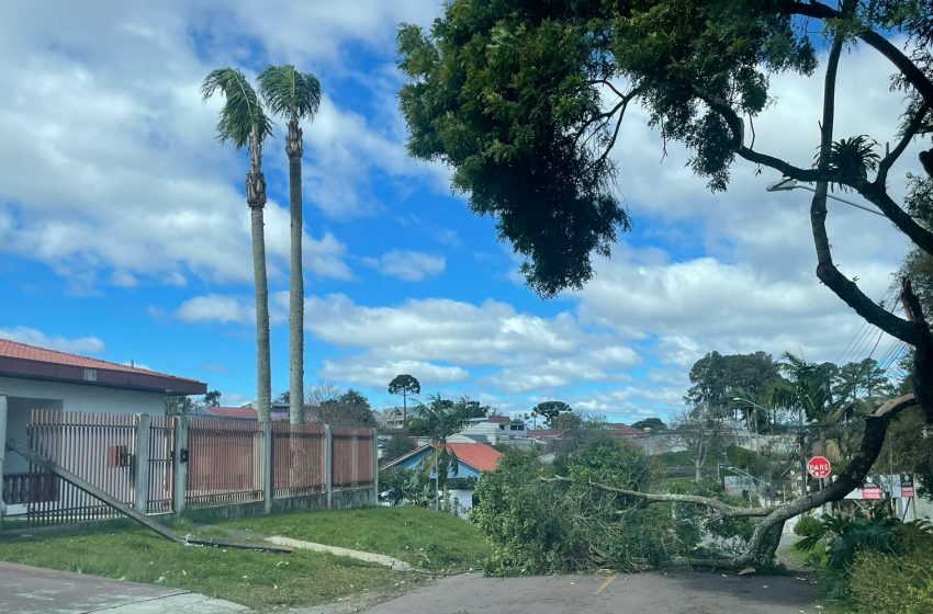  700 mil consumidores ficaram sem energia após temporal