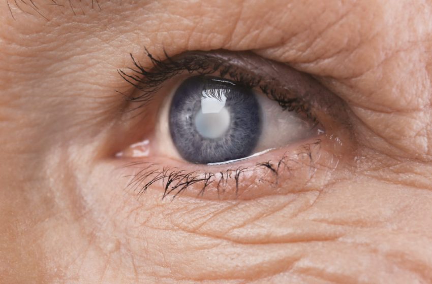 Glaucoma não tratado pode causar cegueira