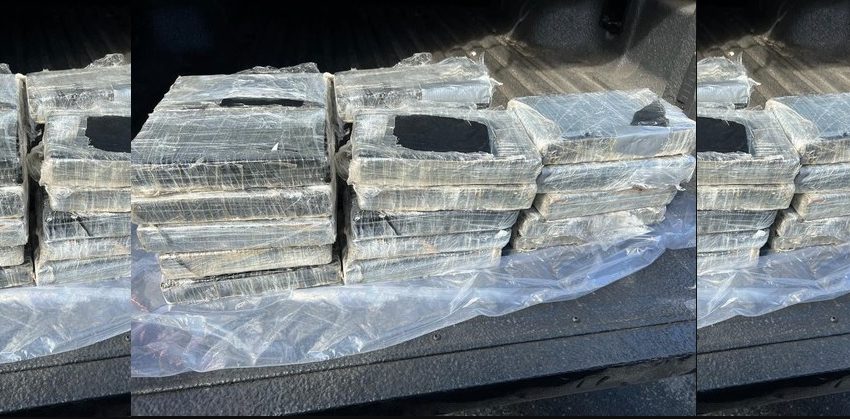  28,5 kg de cocaína são apreendidos no Porto de Paranaguá