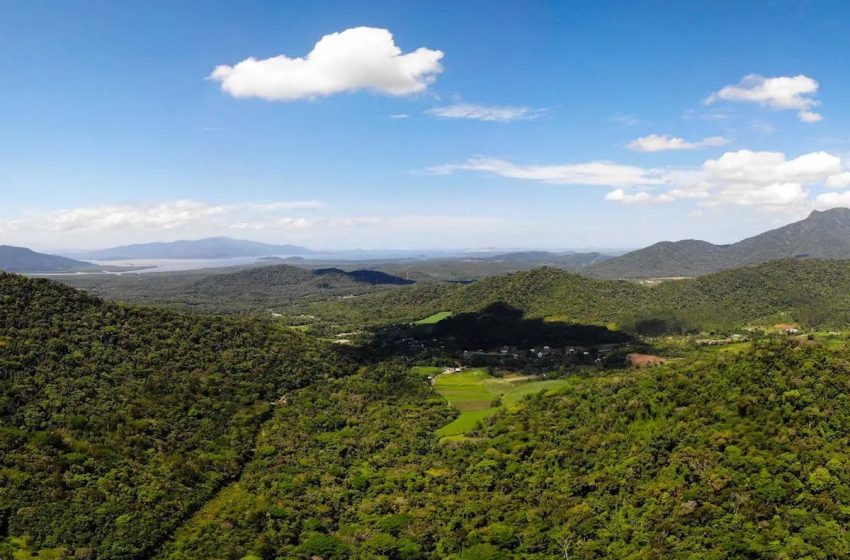  Buscas por avião desaparecido chegam ao 4º dia