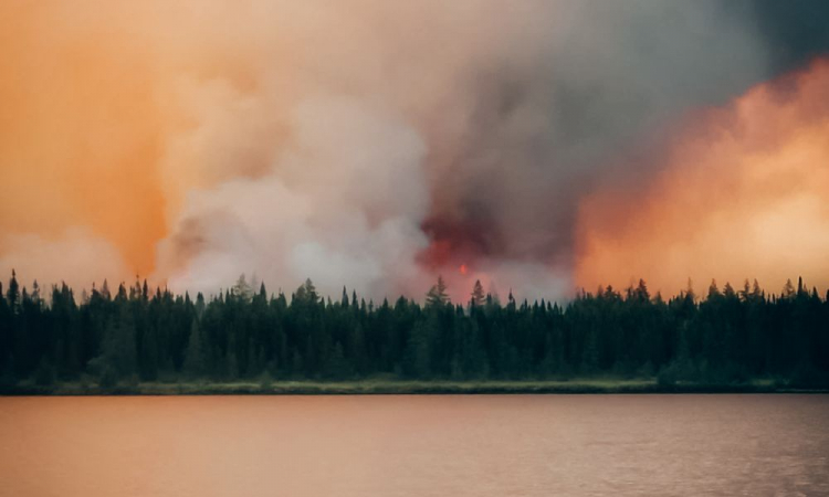Combate a incêndios no Canadá recebe reforço de militares brasileiros