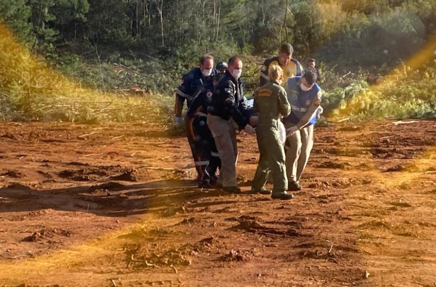  Árvore cai em cabeça de trabalhador