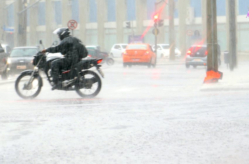  Saúde de Curitiba emite alerta para cuidados com a leptospirose