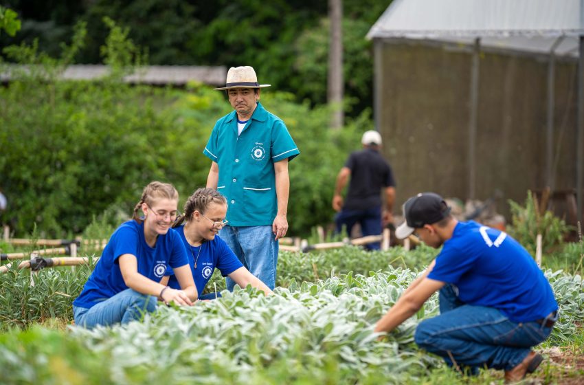  Colégios agrícolas vão passar a ser cooperativas-escola