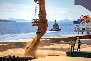Com 61 milhões de toneladas, portos paranaenses ultrapassam marca inédita