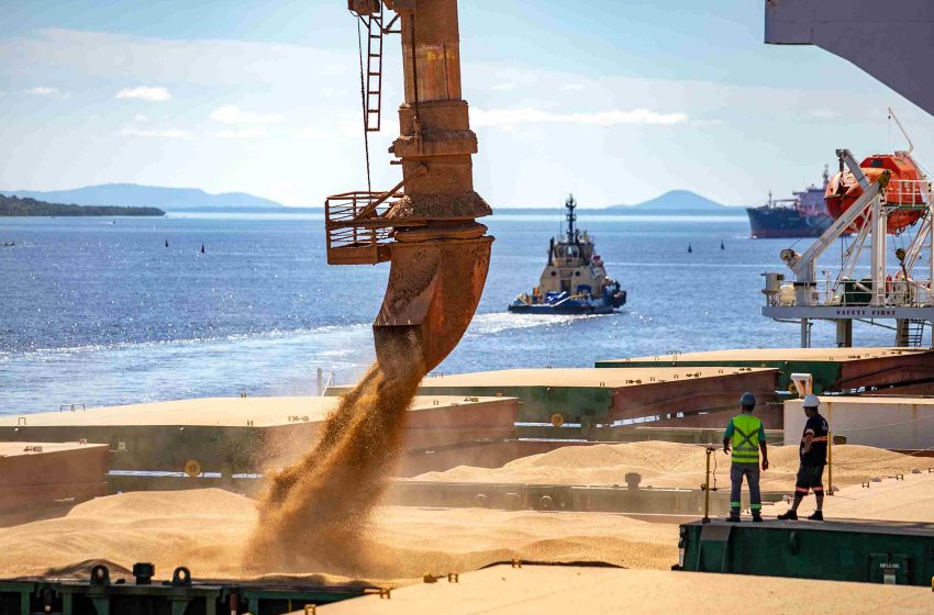  Porto de Paranaguá registra recorde de exportações no Corredor Leste