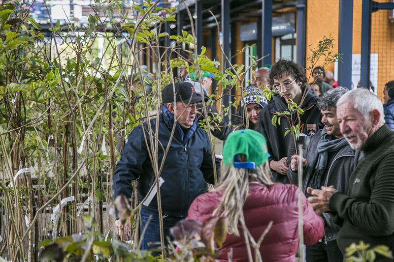  Mudas de ipês e árvores frutíferas serão distribuídas