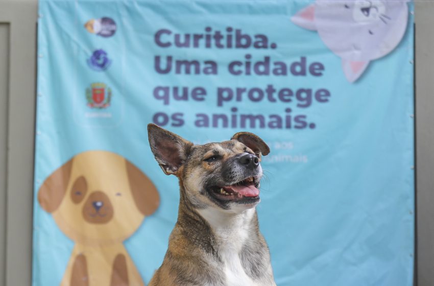  Inscrições para 6ª edição do evento Amigo Bicho estão abertas