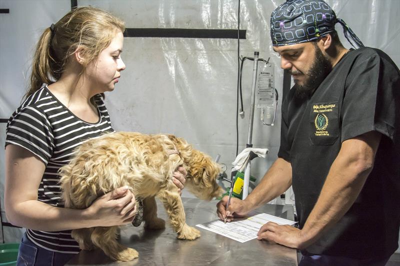  Agendamento para castração gratuita de pets abre em Curitiba