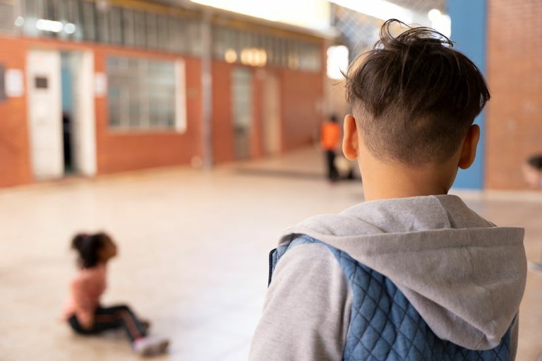  Escolas e creches podem passar a ter segurança armada