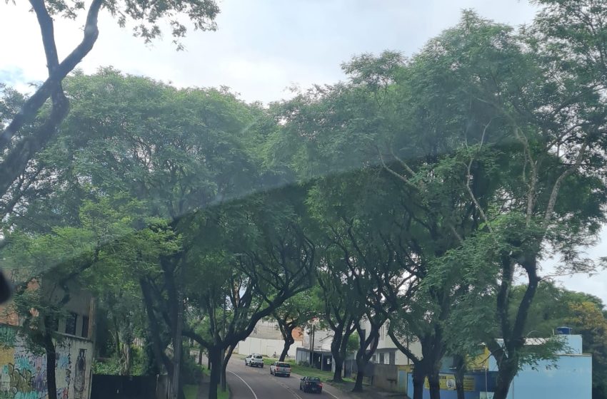  Dia começa nublado na capital paranaense