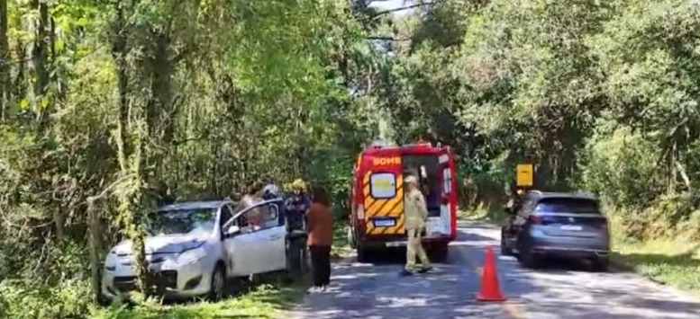  Idoso morre após bater carro contra árvore em Curitiba