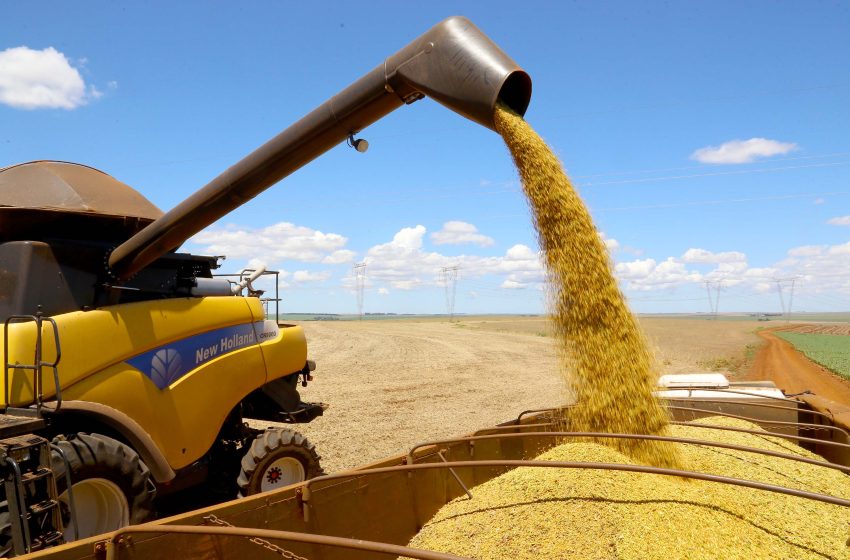  Exportação de soja dispara 282% em janeiro no Paraná