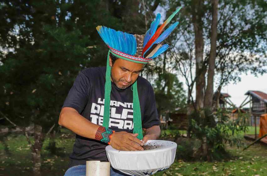  Paraná é o 14º estado com maior número de indígenas