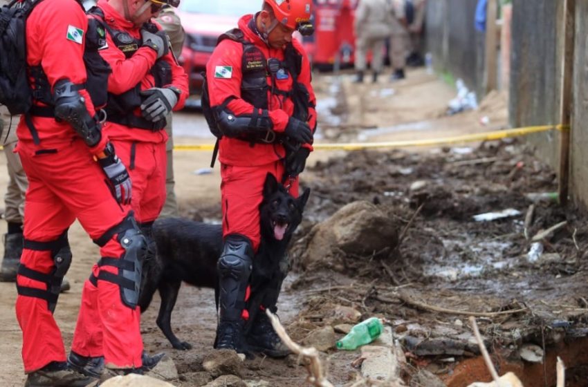  Mais bombeiros e cães reforçam buscas após ciclone, no RS