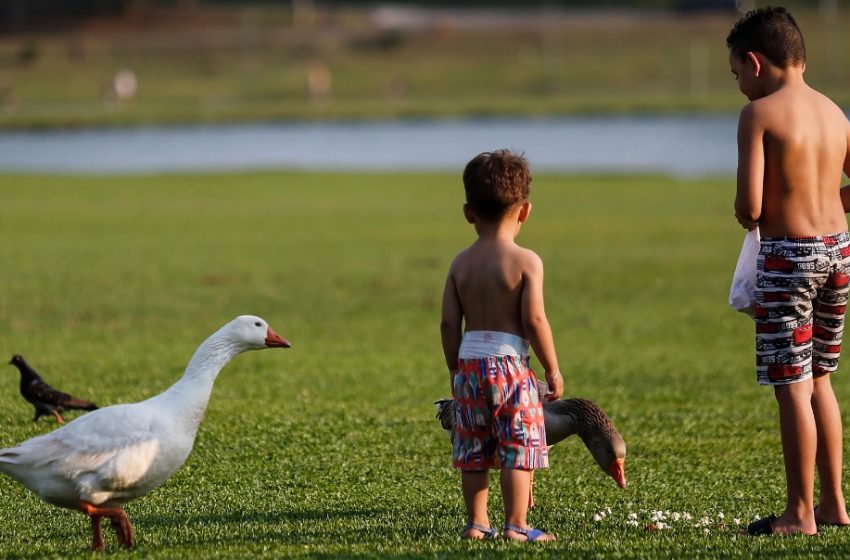  Curitiba alcança 33,1°C no dia mais quente do ano