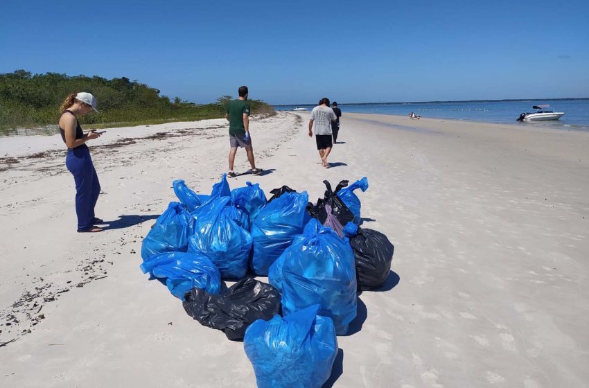  220 quilos de lixo são retirados da Ilha do Mel