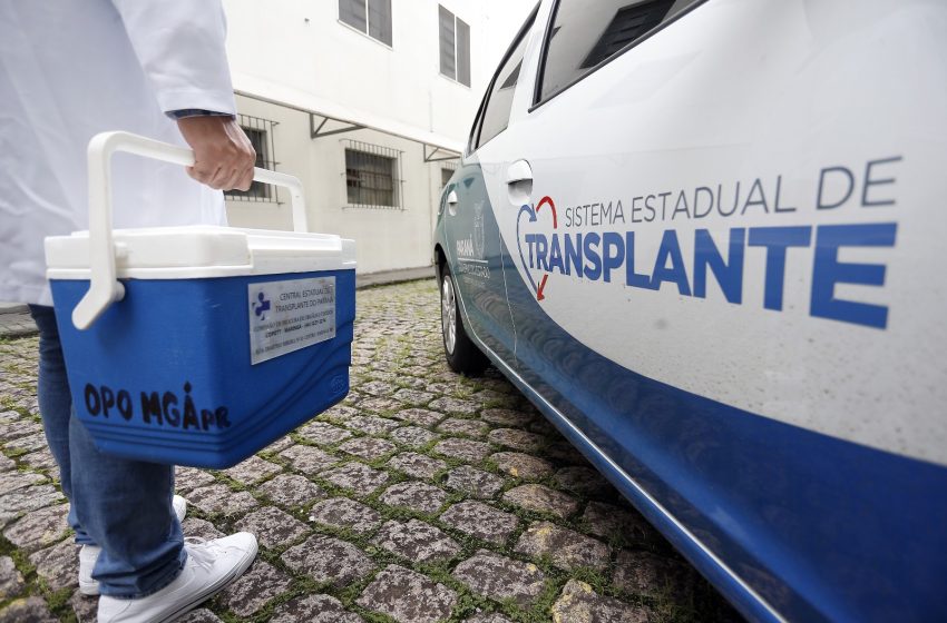  Paraná tem 27 pacientes na fila para transplante de coração