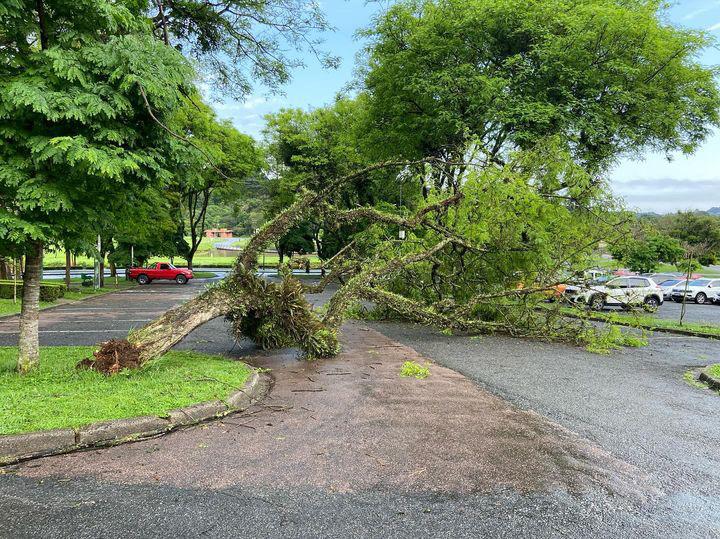  Chuva forte causa estragos em Curitiba