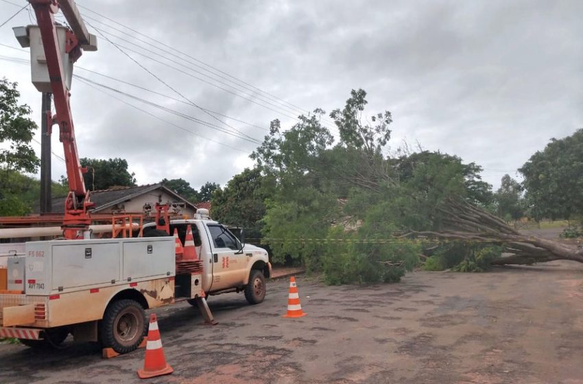  2,5 mil pessoas estão sem luz após temporal em Guarapuava