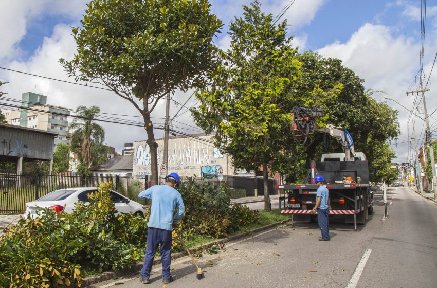  Curitiba registra 45 quedas de galhos ou árvores