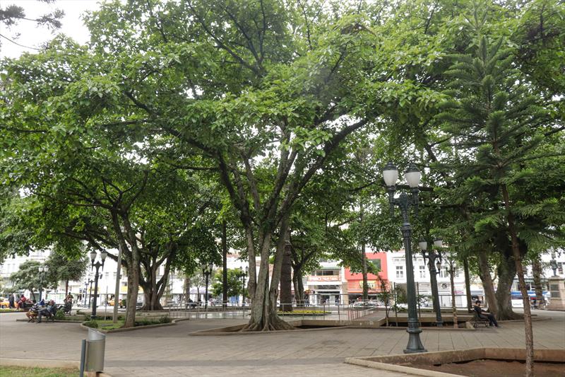  Prazo da pesquisa do Plano de Arborização é prorrogado