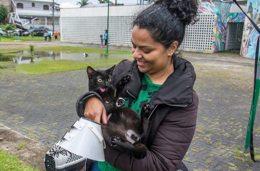  Mutirão para castração de pets abre 1,4 mil vagas gratuitas