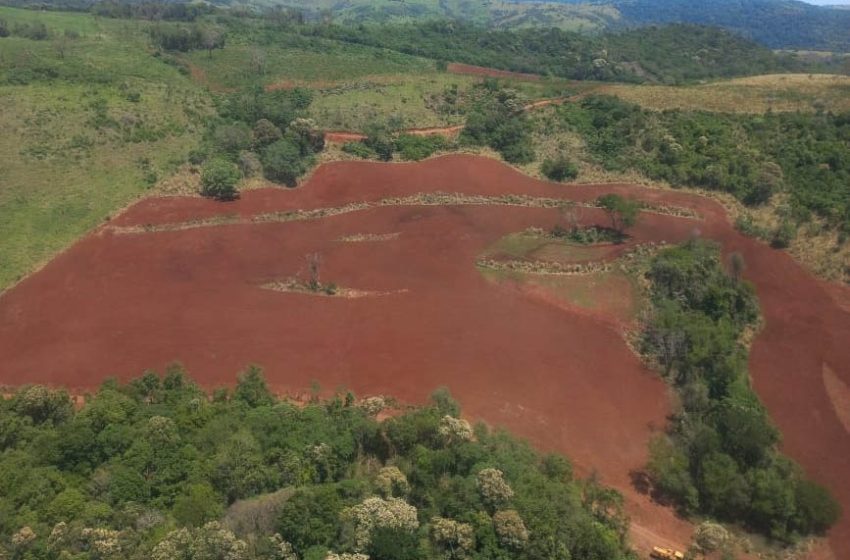  R$ 1,6 milhão são aplicados por desmatamento no Paraná