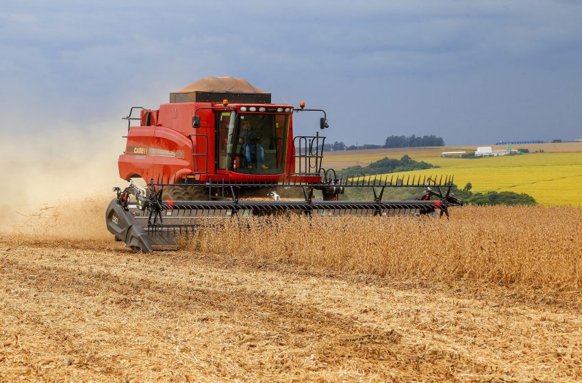  Com colheita antecipada, venda da soja cresce 53% no Paraná