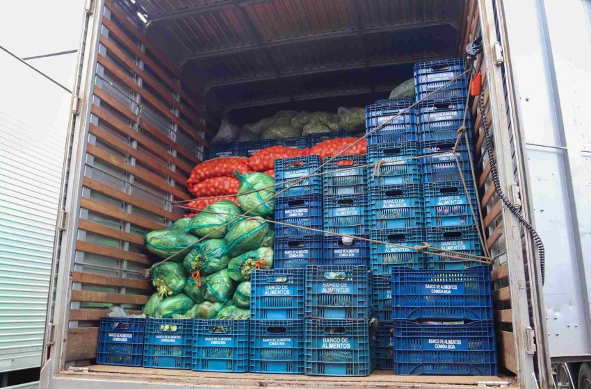  Toneladas de alimentos são enviadas para municípios atingidos pelas chuvas